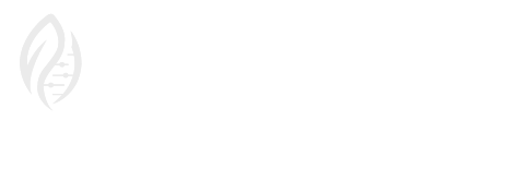 Smooth Skin beauty